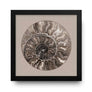 Contemporary Cream Spiral Abstract Shell Circle image