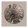 Fossil Ammonite Rock Wall Art for the Living Room; Cream Spiral Abstract Shell Circular Contemporary