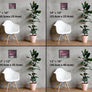 Pink Cherry Blossom Artwork sizes 1