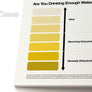 Home or office urine chart on canvas print