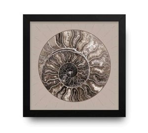 Contemporary Cream Spiral Abstract Shell Circle image
