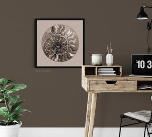 Fossil Ammonite Rock Wall Art for the Living Room; Cream Spiral Abstract Shell Circular Contemporary