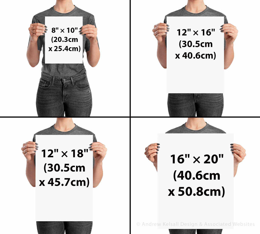 Image showing four image sizes for poster and framed artwork.